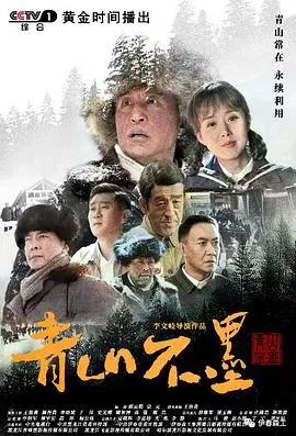 《青山不墨》：一部关于信仰与奉献的史诗，看东北林场人的绿色坚守