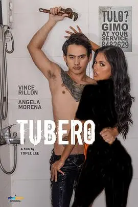 爆笑来袭！《水管工》：一场意想不到的家庭闹剧，让你笑出腹肌！