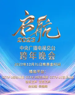 2024央视跨年晚会：星光璀璨，温情脉脉，用歌声点亮新年，致敬奋斗的你我！